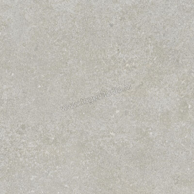  Ragno Tiempo Grigio 45x45 cm Vloertegel / Wandtegel Mat Vlak Naturale RCTX | 378865
