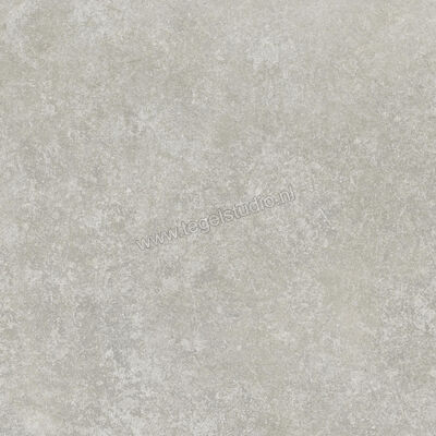  Ragno Tiempo Grigio 45x45 cm Vloertegel / Wandtegel Mat Vlak Naturale RCTX | 378868