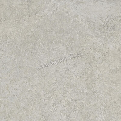  Ragno Tiempo Grigio 45x45 cm Vloertegel / Wandtegel Mat Vlak Naturale RCTX | 378871
