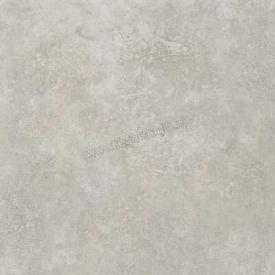  Ragno Tiempo Grigio 45x45 cm Vloertegel / Wandtegel Mat Vlak Naturale RCTX | 378874