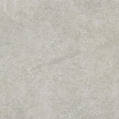  Ragno Tiempo Grigio 45x45 cm Vloertegel / Wandtegel Mat Vlak Naturale RCTX | 378877