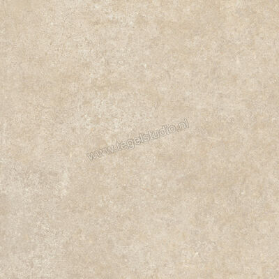  Ragno Tiempo Beige 45x45 cm Vloertegel / Wandtegel Mat Vlak Naturale RCTY | 378883