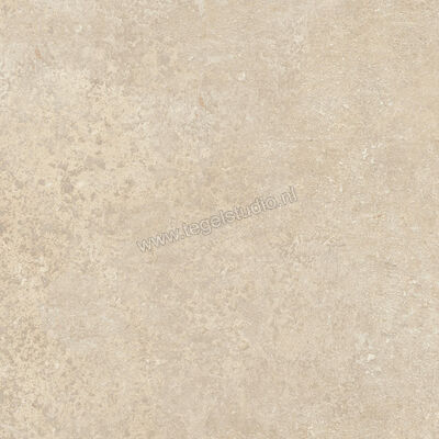  Ragno Tiempo Beige 45x45 cm Vloertegel / Wandtegel Mat Vlak Naturale RCTY | 378886