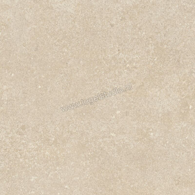  Ragno Tiempo Beige 45x45 cm Vloertegel / Wandtegel Mat Vlak Naturale RCTY | 378889