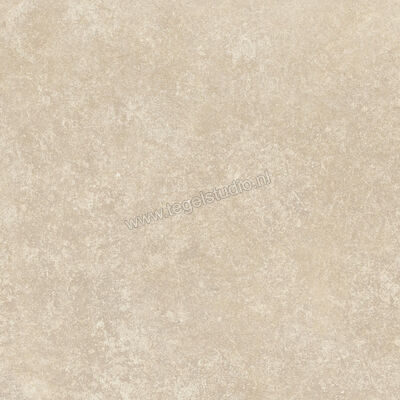  Ragno Tiempo Beige 45x45 cm Vloertegel / Wandtegel Mat Vlak Naturale RCTY | 378892