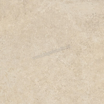  Ragno Tiempo Beige 45x45 cm Vloertegel / Wandtegel Mat Vlak Naturale RCTY | 378895