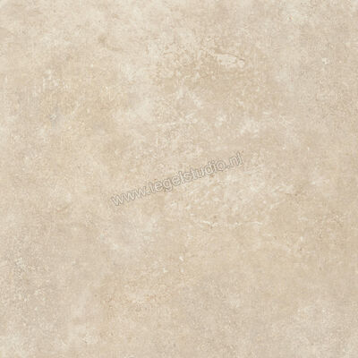  Ragno Tiempo Beige 45x45 cm Vloertegel / Wandtegel Mat Vlak Naturale RCTY | 378898