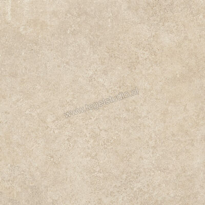  Ragno Tiempo Beige 45x45 cm Vloertegel / Wandtegel Mat Vlak Naturale RCTY | 378901