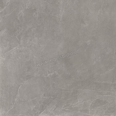  Ragno Realstone_Slate XT20 Iron 120x120x2 cm Terrastegel Mat Gestructureerd Naturale RC9F | 380467
