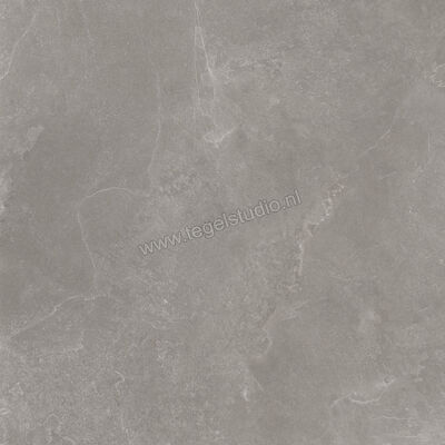  Ragno Realstone_Slate XT20 Iron 120x120x2 cm Terrastegel Mat Gestructureerd Naturale RC9F | 380473