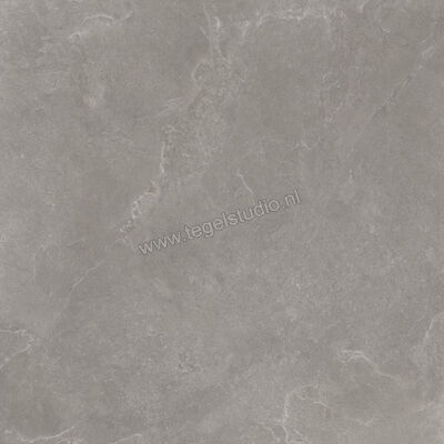  Ragno Realstone_Slate XT20 Iron 120x120x2 cm Terrastegel Mat Gestructureerd Naturale RC9F | 380476