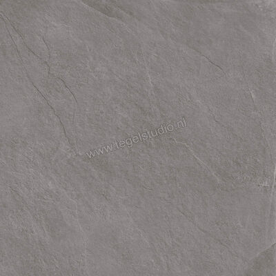  Ragno Realstone_Slate XT20 Iron 80x80x2 cm Terrastegel Mat Gestructureerd Naturale R645 | 380530