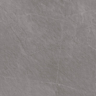  Ragno Realstone_Slate XT20 Iron 80x80x2 cm Terrastegel Mat Gestructureerd Naturale R645 | 380533