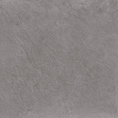  Ragno Realstone_Slate XT20 Iron 80x80x2 cm Terrastegel Mat Gestructureerd Naturale R645 | 380536