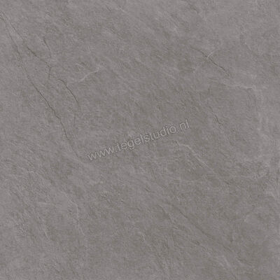  Ragno Realstone_Slate XT20 Iron 80x80x2 cm Terrastegel Mat Gestructureerd Naturale R645 | 380545