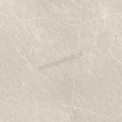  Ragno Realstone_Slate XT20 Shell 80x80x2 cm Terrastegel Mat Gestructureerd Naturale R643 | 380557
