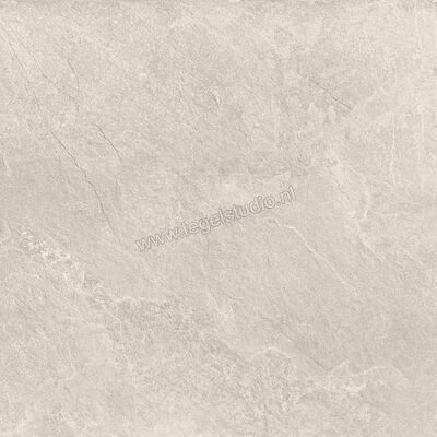  Ragno Realstone_Slate XT20 Shell 80x80x2 cm Terrastegel Mat Gestructureerd Naturale R643 | 380572