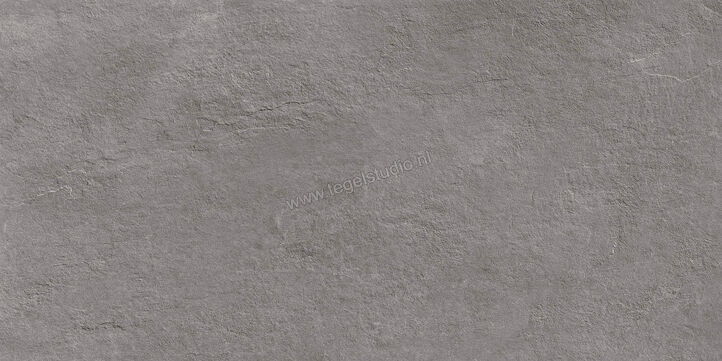  Ragno Realstone_Slate XT20 Iron 50x100x2 cm Terrastegel Mat Gestructureerd Naturale R63V | 380626