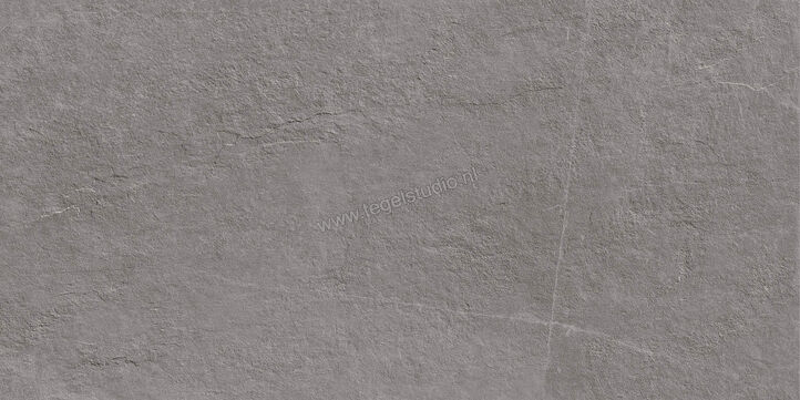  Ragno Realstone_Slate XT20 Iron 50x100x2 cm Terrastegel Mat Gestructureerd Naturale R63V | 380629