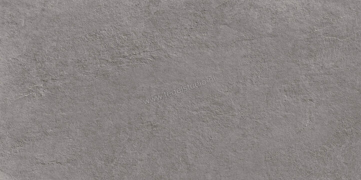  Ragno Realstone_Slate XT20 Iron 50x100x2 cm Terrastegel Mat Gestructureerd Naturale R63V | 380632