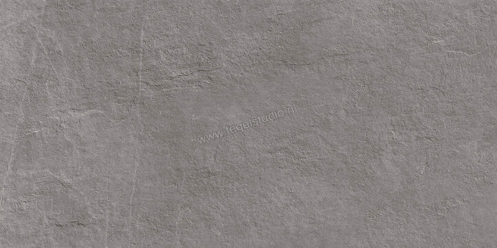  Ragno Realstone_Slate XT20 Iron 50x100x2 cm Terrastegel Mat Gestructureerd Naturale R63V | 380635