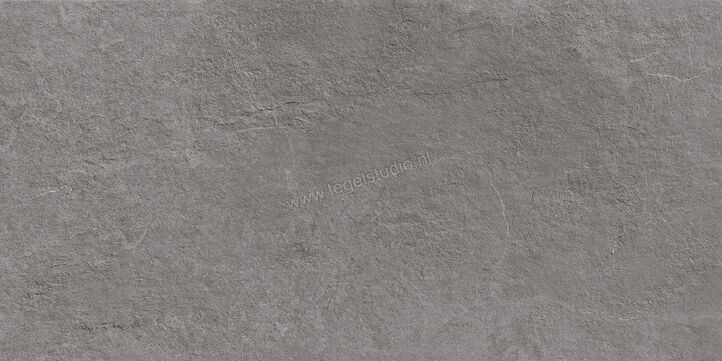  Ragno Realstone_Slate XT20 Iron 50x100x2 cm Terrastegel Mat Gestructureerd Naturale R63V | 380638