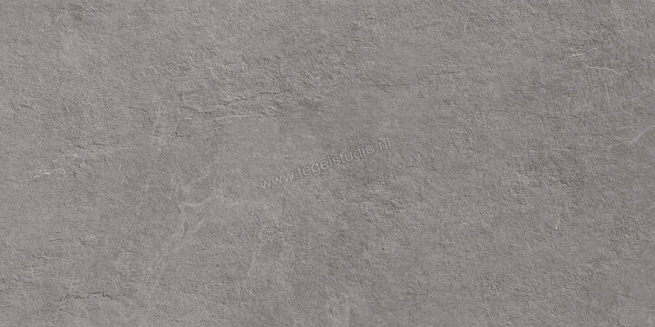  Ragno Realstone_Slate XT20 Iron 50x100x2 cm Terrastegel Mat Gestructureerd Naturale R63V | 380641