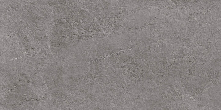  Ragno Realstone_Slate XT20 Iron 50x100x2 cm Terrastegel Mat Gestructureerd Naturale R63V | 380644