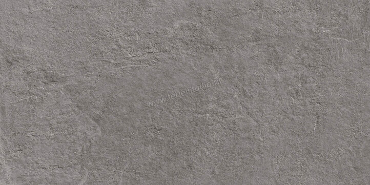  Ragno Realstone_Slate XT20 Iron 50x100x2 cm Terrastegel Mat Gestructureerd Naturale R63V | 380647