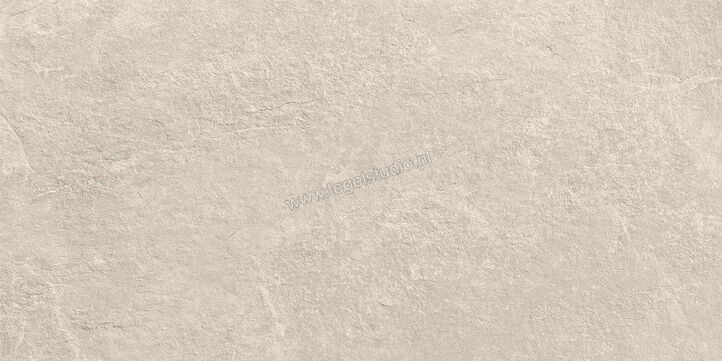  Ragno Realstone_Slate XT20 Shell 50x100x2 cm Terrastegel Mat Gestructureerd Naturale R63T | 380653