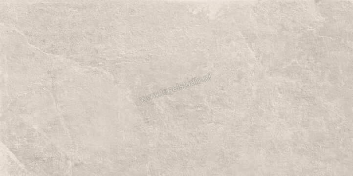  Ragno Realstone_Slate XT20 Shell 50x100x2 cm Terrastegel Mat Gestructureerd Naturale R63T | 380656