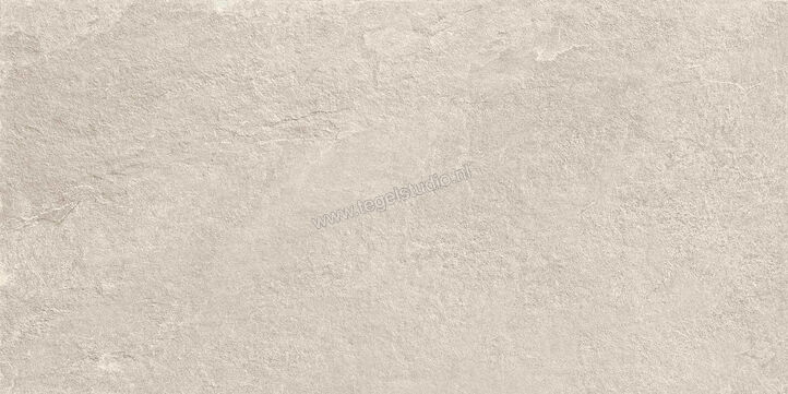  Ragno Realstone_Slate XT20 Shell 50x100x2 cm Terrastegel Mat Gestructureerd Naturale R63T | 380659