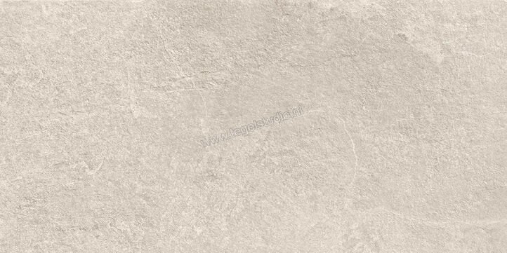  Ragno Realstone_Slate XT20 Shell 50x100x2 cm Terrastegel Mat Gestructureerd Naturale R63T | 380662