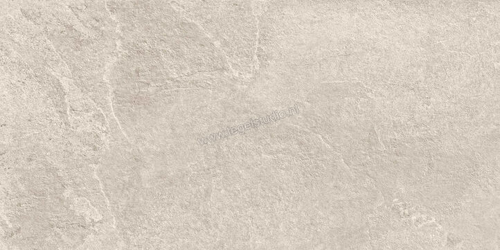  Ragno Realstone_Slate XT20 Shell 50x100x2 cm Terrastegel Mat Gestructureerd Naturale R63T | 380668