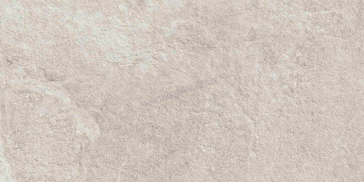  Ragno Realstone_Slate XT20 Shell 50x100x2 cm Terrastegel Mat Gestructureerd Naturale R63T | 380671