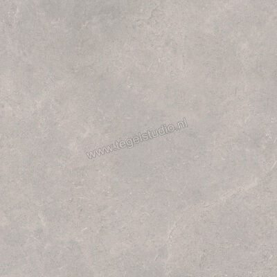  Ragno Creek Grigio 75x75 cm Vloertegel / Wandtegel Mat Vlak Naturale R9ER | 380836