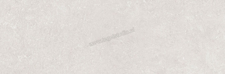  Ragno Creek Grigio 25x76 cm Wandtegel Mat Vlak Naturale R9DG | 380896