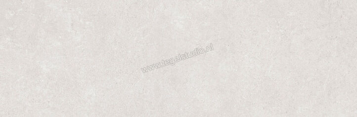  Ragno Creek Grigio 25x76 cm Wandtegel Mat Vlak Naturale R9DG | 380905