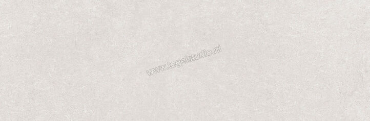 Ragno Creek Grigio 25x76 cm Wandtegel Mat Vlak Naturale R9DG | 380908
