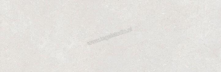  Ragno Creek Grigio 25x76 cm Wandtegel Mat Vlak Naturale R9DG | 380917