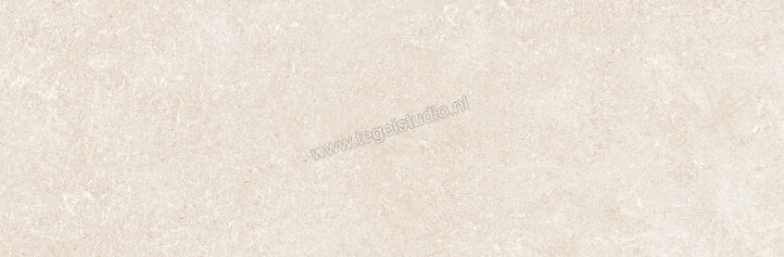  Ragno Creek Avorio 25x76 cm Wandtegel Mat Vlak Naturale R9DE | 380923