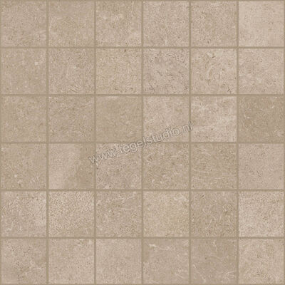  Ragno Creek Beige 30x30 cm Mozaiek 5x5 Mat Vlak Naturale R5LW | 380980