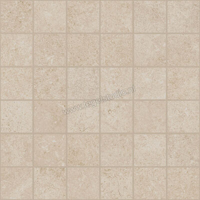  Ragno Creek Avorio 30x30 cm Mozaiek 5x5 Mat Vlak Naturale R5LV | 380983