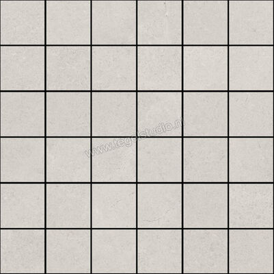  Ragno Creek Bianco 30x30 cm Mozaiek 5x5 Mat Vlak Naturale R5LU | 380986