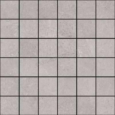  Ragno Creek Grigio 30x30 cm Mozaiek 5x5 Mat Vlak Naturale R5LT | 380989