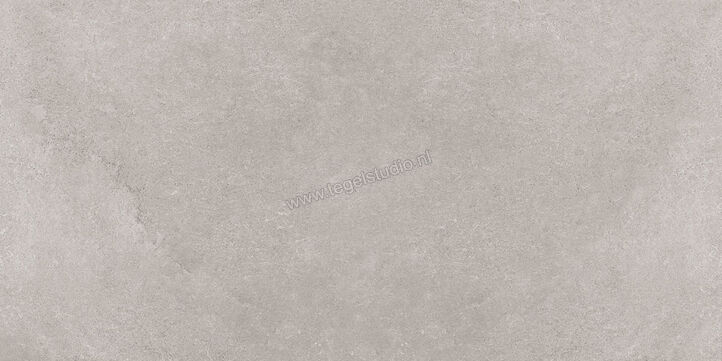  Ragno Creek Grigio 60x120 cm Vloertegel / Wandtegel Mat Vlak Naturale R5JZ | 381007