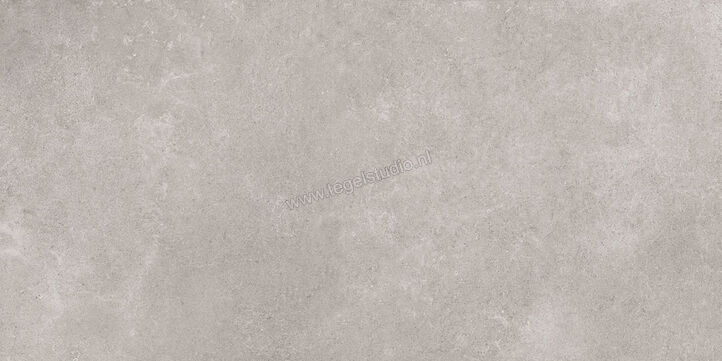  Ragno Creek Grigio 60x120 cm Vloertegel / Wandtegel Mat Vlak Naturale R5JZ | 381010
