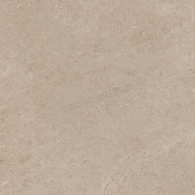  Ragno Creek Beige 45x45 cm Vloertegel / Wandtegel Mat Vlak Naturale R5J6 | 381019