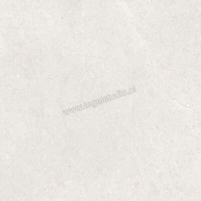  Ragno Creek Bianco 45x45 cm Vloertegel / Wandtegel Mat Vlak Naturale R5J4 | 381025