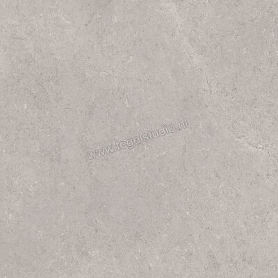  Ragno Creek Grigio 45x45 cm Vloertegel / Wandtegel Mat Vlak Naturale R5J3 | 381028